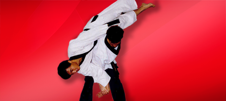 Hapkido Selfdefense Korean Martial Arts Wrapping Paper